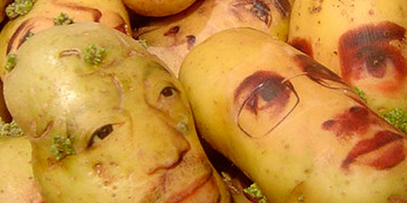 Ugly Potatoes Become Best Sellers