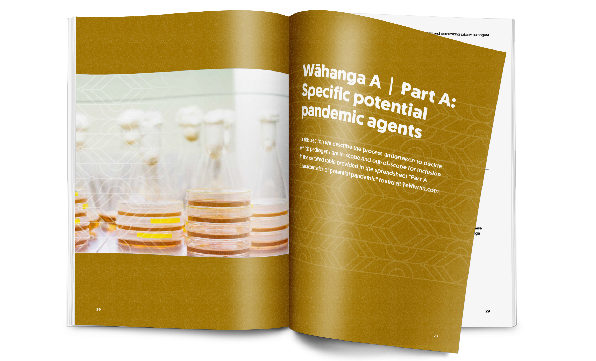 EdenDesign Te Niwha 15 Report Likely pandemic scenarios Inside 6
